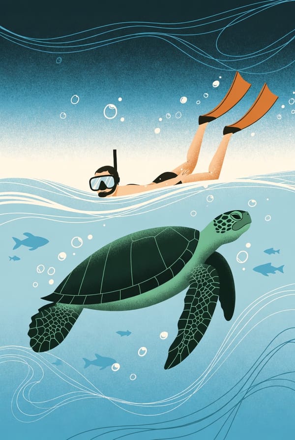 Bitnami Lightsail에서 wildcard SSL 인증서 발급받기